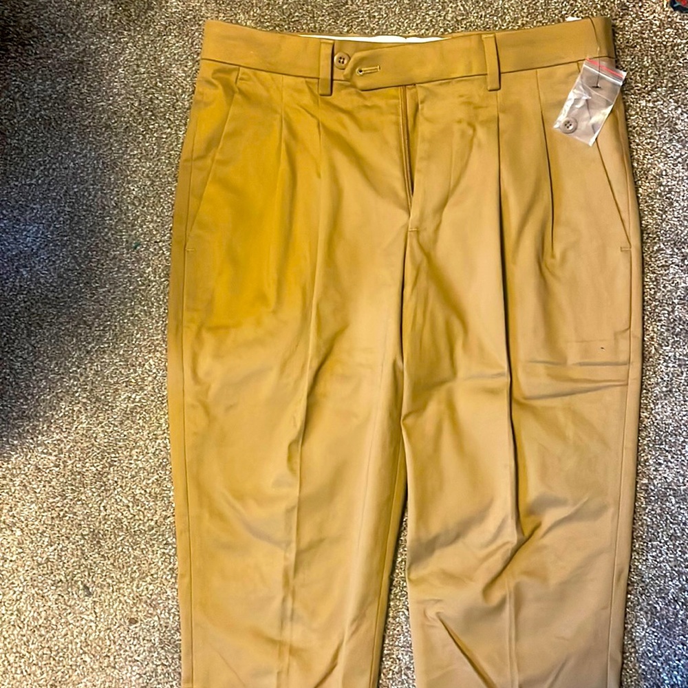 Express Pleated Dress Pants